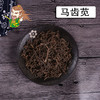 中药材批发 马齿苋 山东 1000克/500克 商品缩略图0