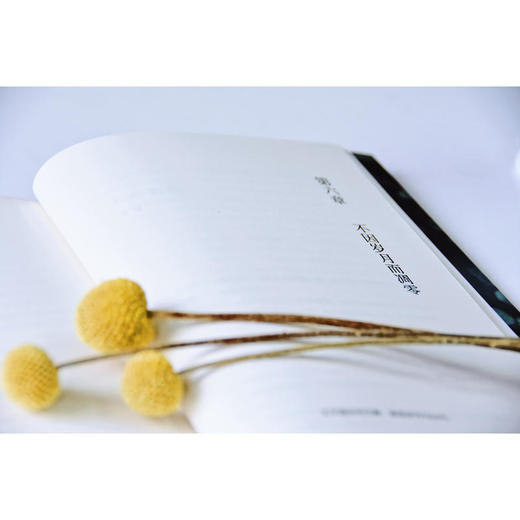 山川岁月长：龙应台、蒋勋、林清玄等与一代人的对话 商品图1