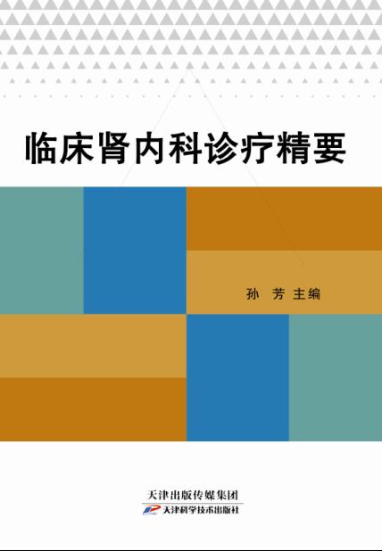临床肾内科诊疗精要 商品图0