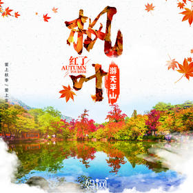 【妈网秋游】12/8 秋意浓 枫叶红 秋游不去一趟天平山，整个秋天就不算完整。。。