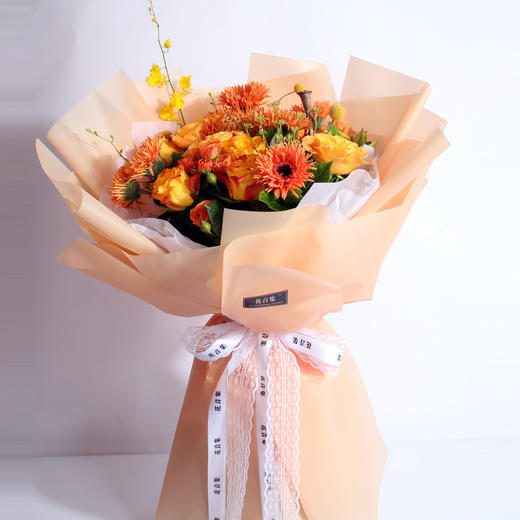 宫系列——橙婕 商品图0