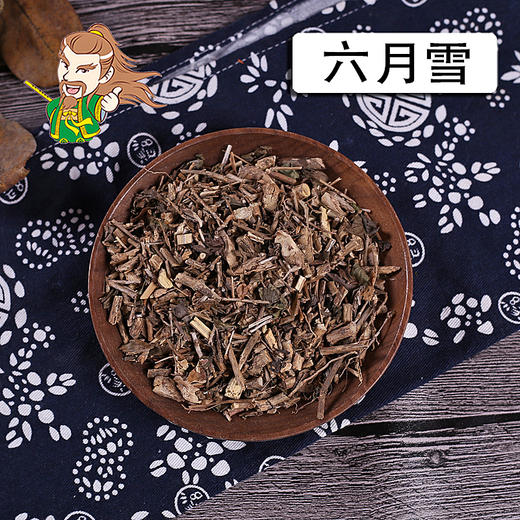 中药材批发 六月雪 湖北 1000克/500克 商品图0