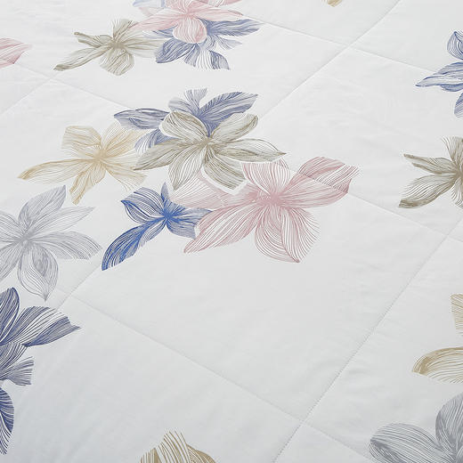 HBXW-030   WIND ROSES全棉舒适被 商品图2