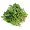 每日现摘  密农人家菠菜苗  口感鲜嫩  适合做宝宝辅食 300g 商品缩略图3