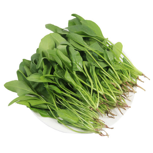 每日现摘  密农人家菠菜苗  口感鲜嫩  适合做宝宝辅食 300g 商品图3