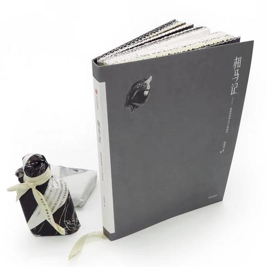 相马记 侯炜国的第三十三种刻法 侯炜国 著 商品图4