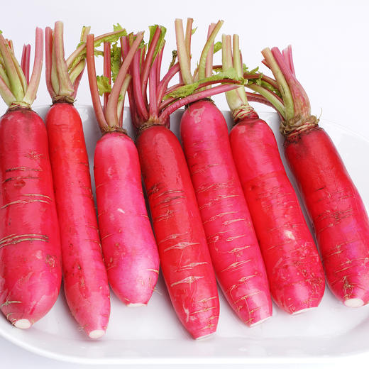 红皮白心萝卜 500g 商品图1