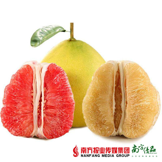 【酸甜多汁】梅州鸳鸯柚礼盒4个 两红两白 7-9斤/盒 商品图0