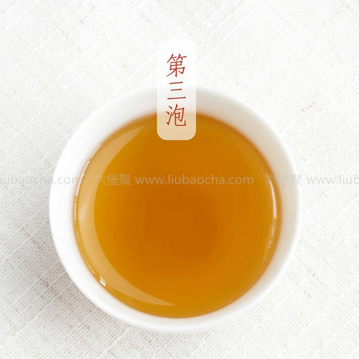 和隆六堡茶 2015年 原种六堡老树社前茶 斗茶大赛金奖 （180g） 商品图2
