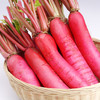 红皮白心萝卜 500g 商品缩略图0