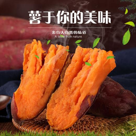 代理产品勿拍天山蜜薯 4斤/件 商品图0