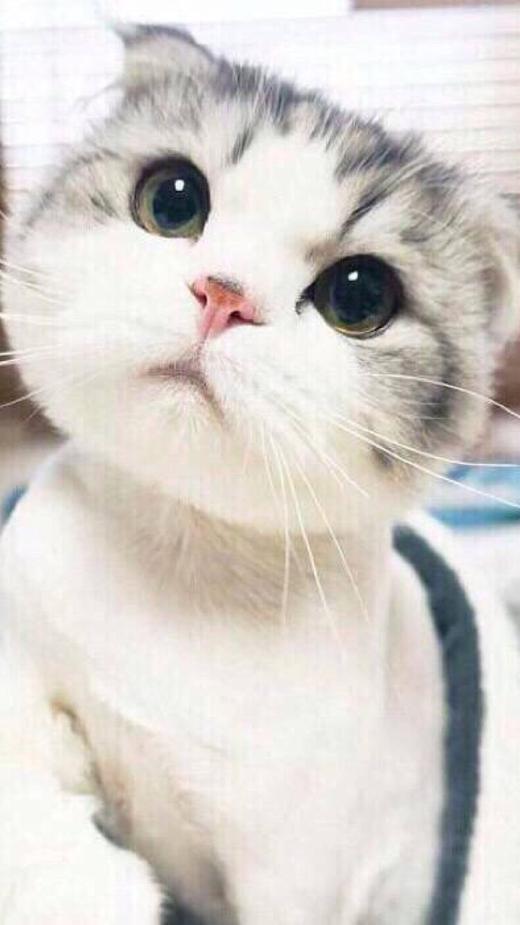 测试ump满减送 商品图0