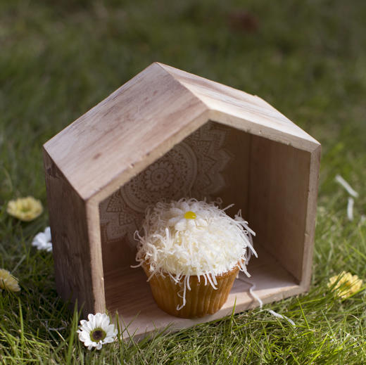 小雏菊 商品图1