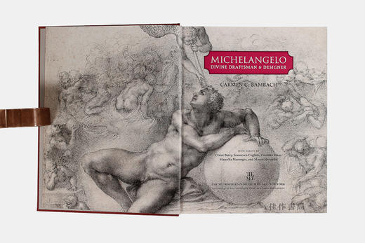 Michelangelo - Divine Draftsman and Designer/米开朗基罗 - 神圣的画师和设计师 商品图2