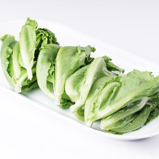 散叶生菜300g 商品图4