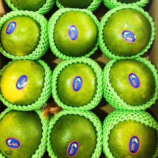 新到一款不错的青柚，跟以色列青柚很像，翡翠青柚，清甜，嫩个，多汁。 商品图9