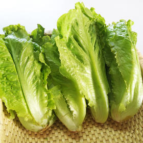 散叶生菜300g