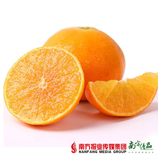 【酸甜多汁】四川爱媛38 橙子 4个 约550g 商品图2