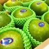 新到一款不错的青柚，跟以色列青柚很像，翡翠青柚，清甜，嫩个，多汁。 商品缩略图10