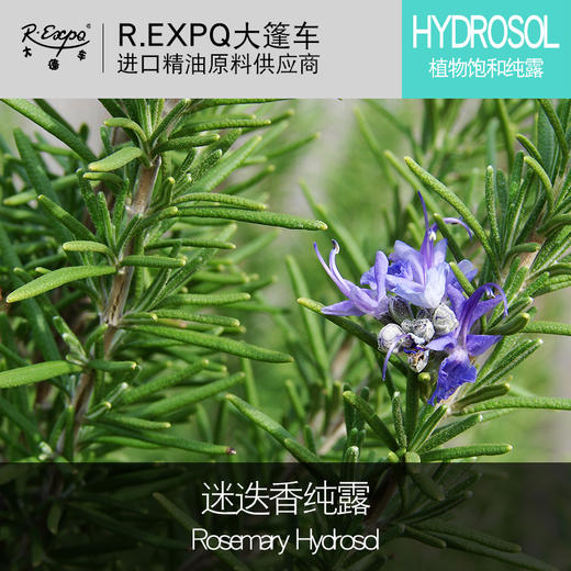迷迭香饱和纯露rosemaryhydrosol进口纯露批发