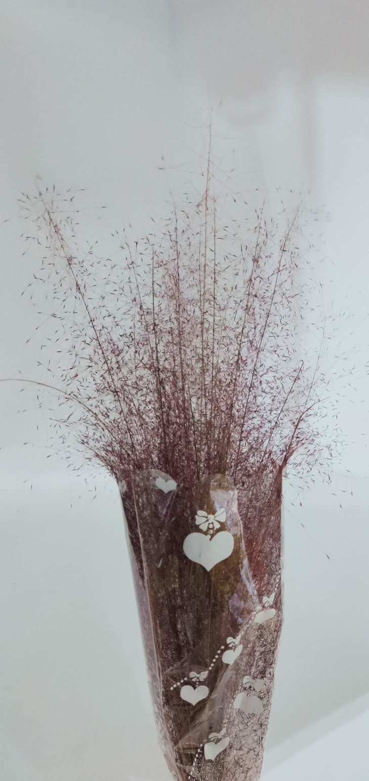 粉黛乱子草单品花束