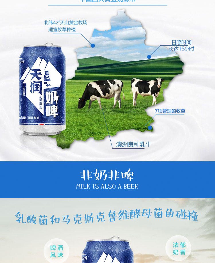 新疆天润奶啤包邮发酵乳酸菌不含酒精牛奶饮品300ml12罐