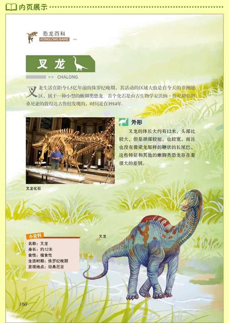儿童恐龙百科全书小学版少儿版动物世界恐龙大百科书探秘揭秘 举报