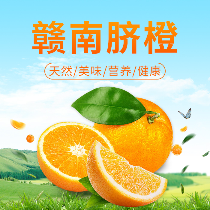 正宗赣南脐橙10斤/20斤/礼盒装  |不催熟 无打蜡  原生态