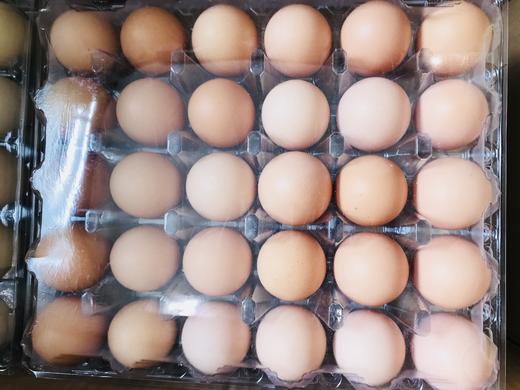 自提30枚草鸡蛋2盒30枚青壳蛋2盒618大促