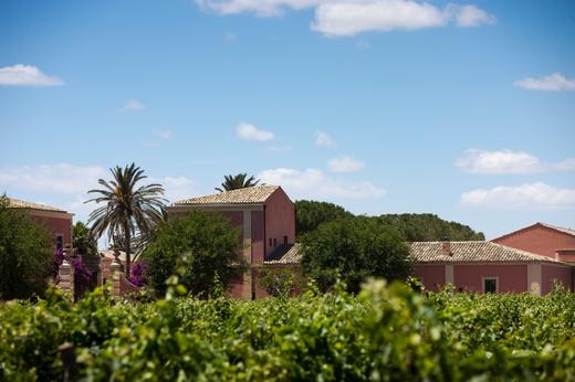 朴奈达酒庄西西里芸台花白葡萄酒2022 Planeta Alastro Grecanico Sicilia IGT, Sicily, Italy 商品图5