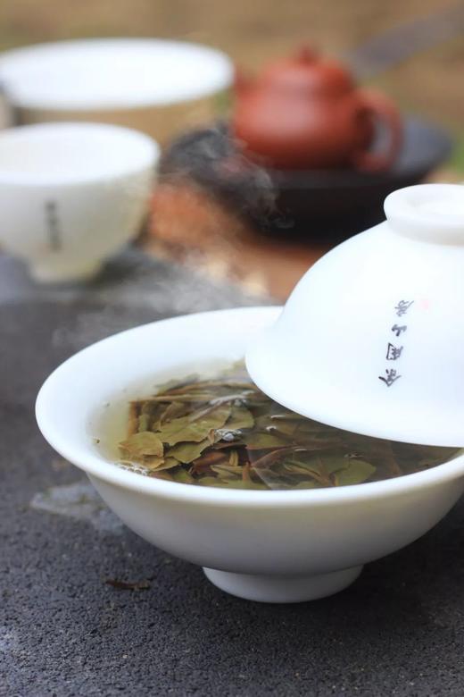 神经紧绷的你，不如看看与茶有关的这些爆笑知乎神回复，缓解一下 商品图0