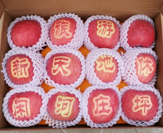 河庄坪延安山地苹果 商品图1