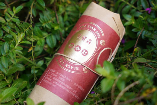 茶鲜森2017年红茶晒红普洱茶红茶春茶