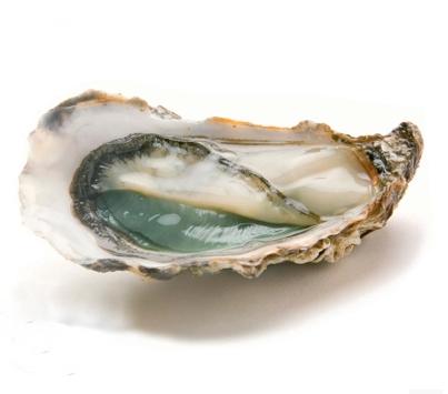 【提前两天预定】法国翡翠蚝----季节限定：9月-次年4月  半打 起（N°1） 商品图1