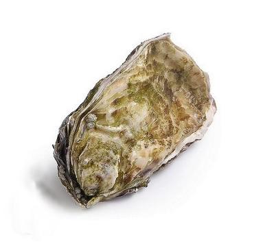 【提前两天预定】法国翡翠蚝----季节限定：9月-次年4月  半打 起（N°1） 商品图4