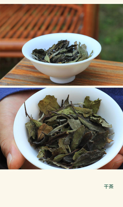 [第29期] 方守龙2016年春牡丹茶-郡级（福鼎白茶 | 清香甘冽） 商品图0