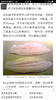 【舌鳎鱼/真龙利鱼】🌞护眼功能明显🌞已去鳞不用去皮 ，清蒸红烧香煎，只需顶部一点点内脏剪了 商品缩略图5