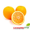 【鲜香多汁】澳洲新奇士甜橙   单个280g左右  2个  商品缩略图0