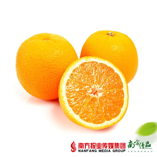 【鲜香多汁】澳洲进口甜橙 4个  单个180g左右 商品图2