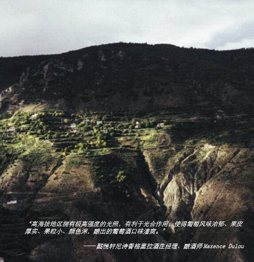 敖云干红葡萄酒2013(庄主签字款) Ao Yun Yunnan China 商品图4