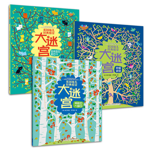 【全3册】英国幼儿经典情景大迷宫 神秘的大脚印 3-6岁幼儿童启蒙益智游戏书 幼儿园宝宝智力开发 专注力训练 亲子互动早教读物 商品图4