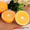 【鲜香多汁】澳洲进口甜橙 4个  单个180g左右 商品缩略图0