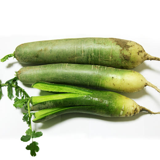 青萝卜（1份，约500g） 商品图0