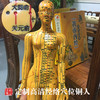会员定制丨经络穴位女铜人 商品缩略图0