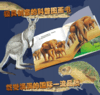 第一次发现丛书透视眼系列   濒临危机的动物 商品缩略图3