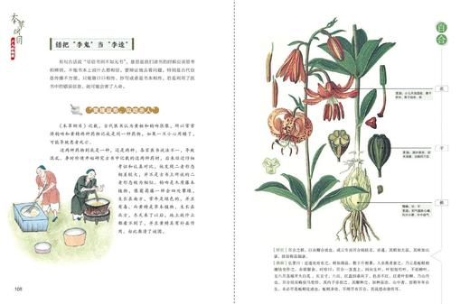 本草纲目 少儿彩绘版 古代中国的百科全书  万有文库 7-15岁适读 商品图7