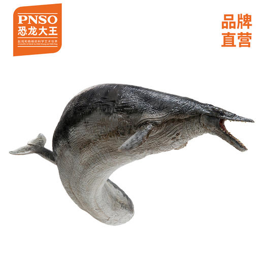 pnso龙王鲸再版图片
