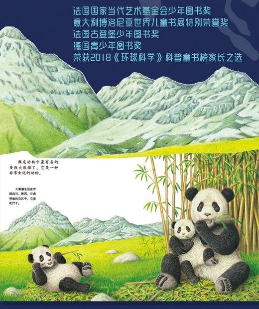 第一次发现丛书透视眼系列   濒临危机的动物 商品图4