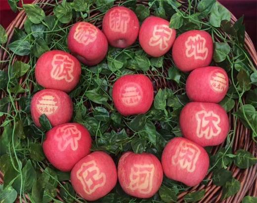 河庄坪延安山地苹果 商品图0