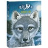 绝境狼王系列·孤独的小狼 商品缩略图0